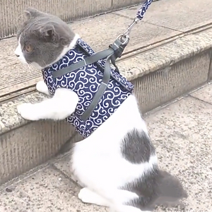 Japanese Tangcao Anti-Breakaway Cat Vest