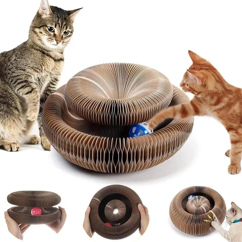 Magic Organ Cat Toy & Scratcher