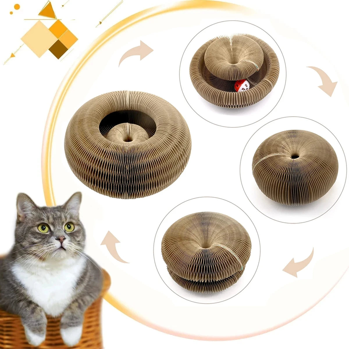 Magic Organ Cat Toy & Scratcher