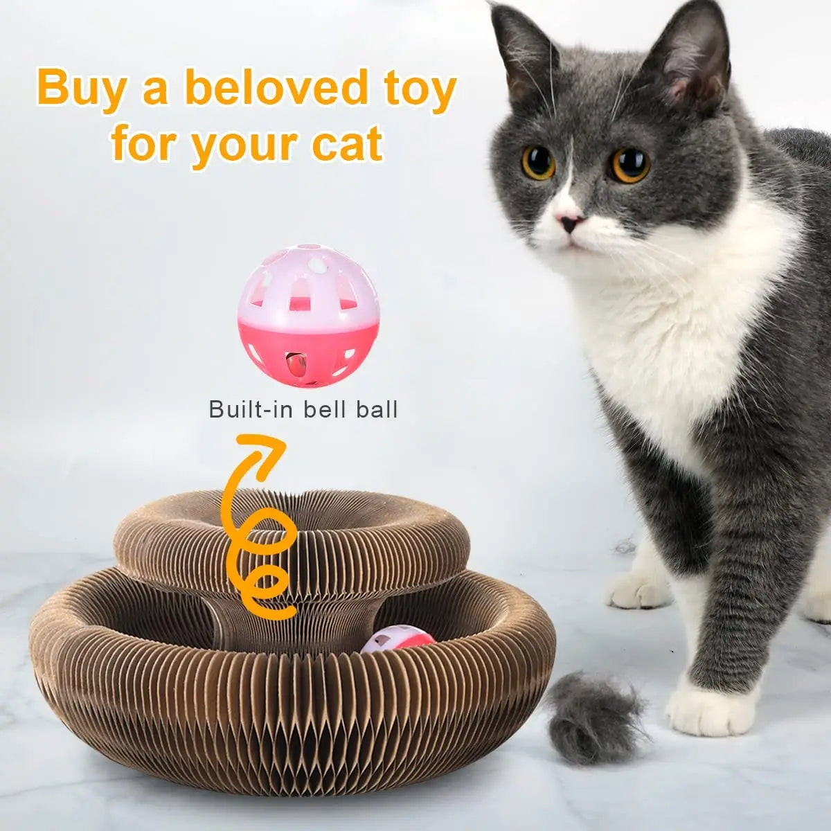 Magic Organ Cat Toy & Scratcher