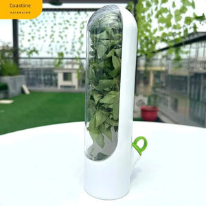 Eco-friendly Vegetable Preservation Box