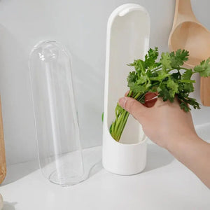 Eco-friendly Vegetable Preservation Box
