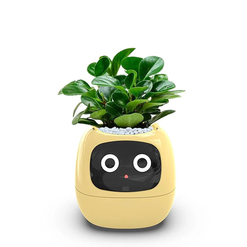 Smart Indoor Garden Planter