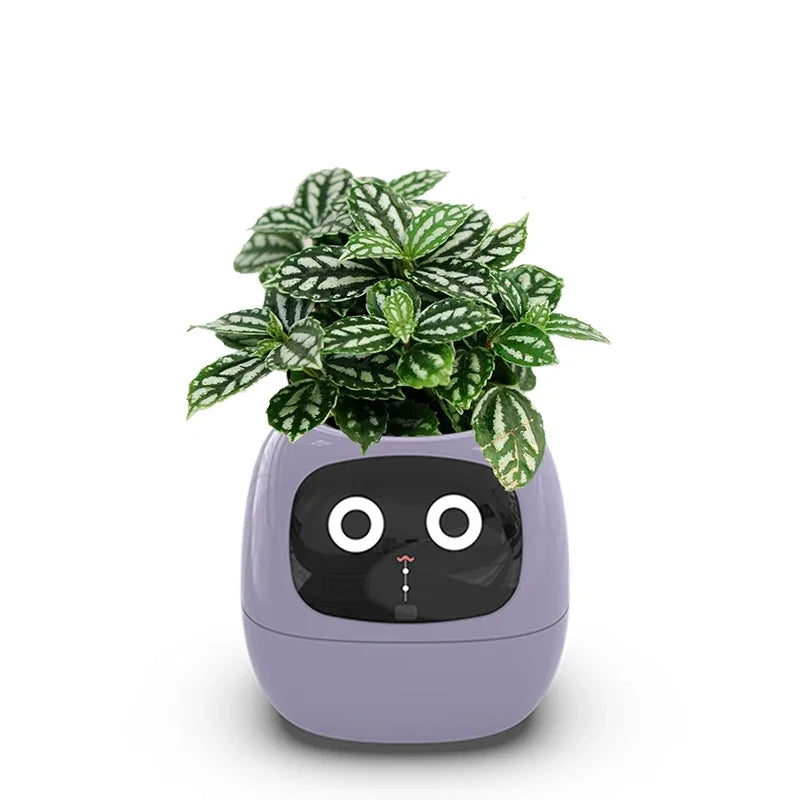 Smart Indoor Garden Planter