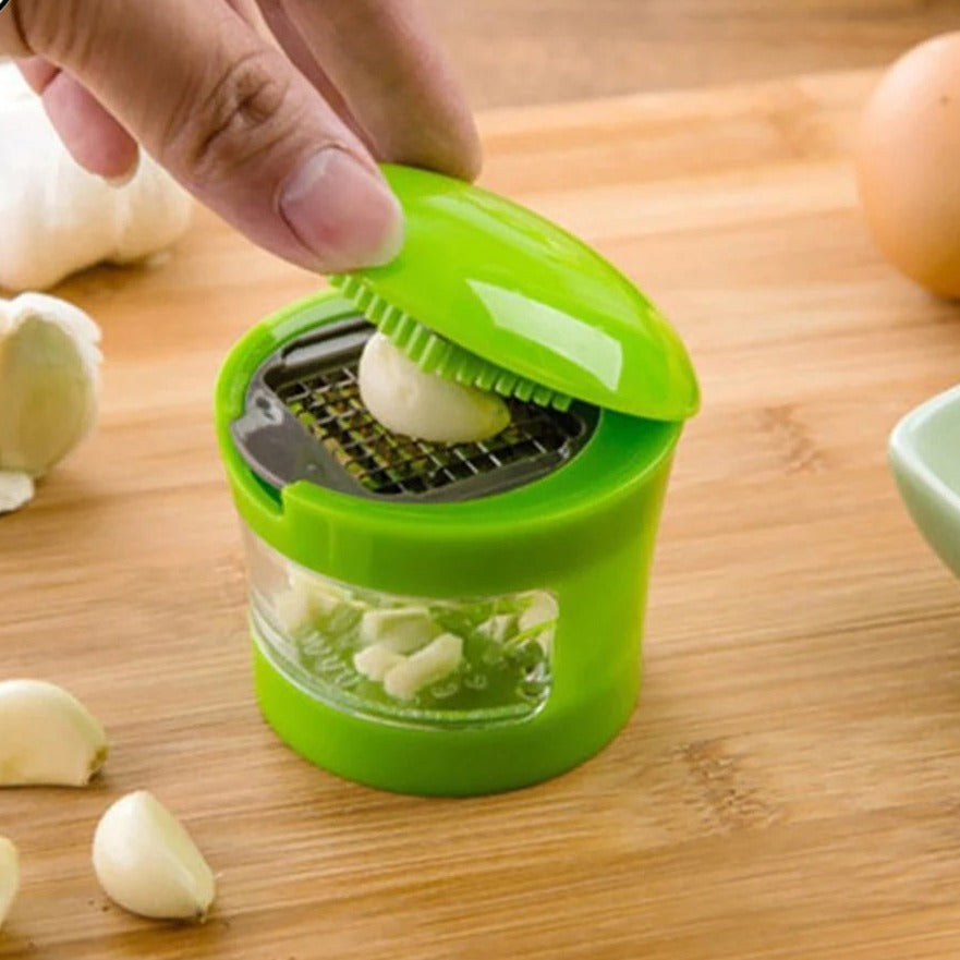 Stainless Steel Garlic Press