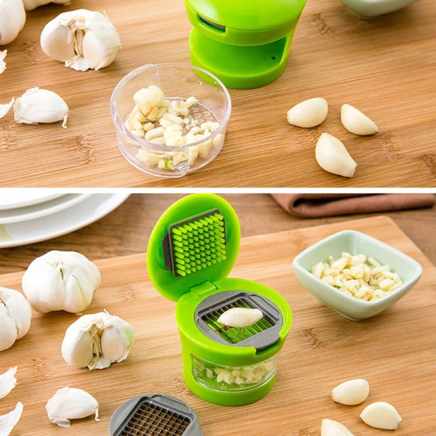 Stainless Steel Garlic Press