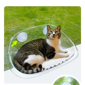 Cat Hammock with Floating Tail