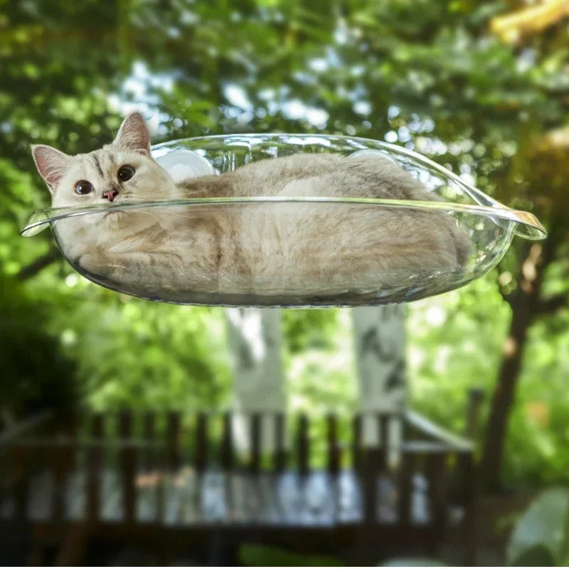 Cat Hammock with Floating Tail