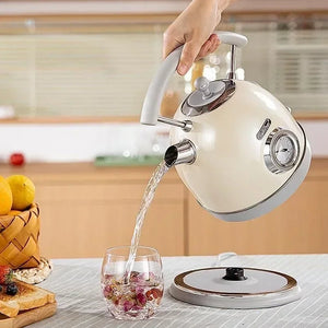 Stainless Steel Electric Kettle with Temperature Control