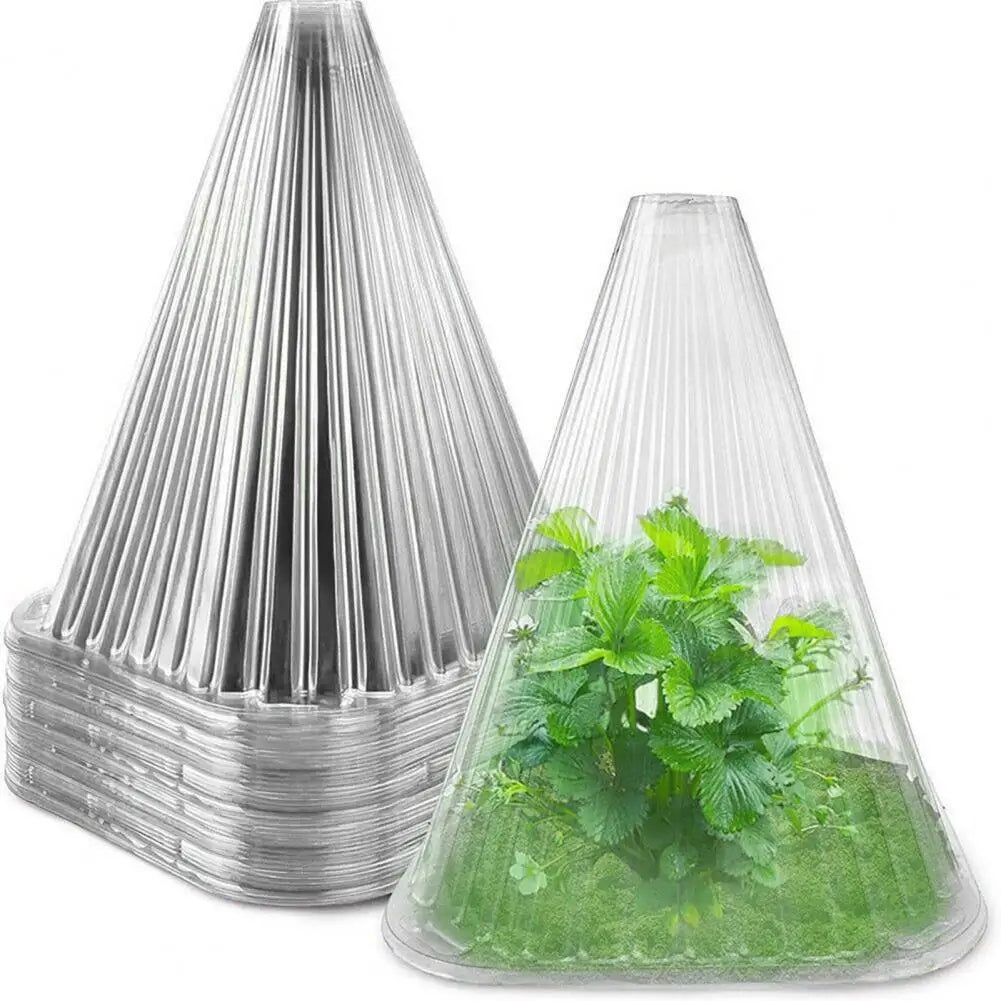 Translucent PET Plant Containers