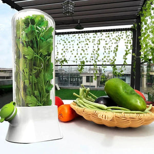 GreenGuard™ Herb and Vegetable Preservation Pod