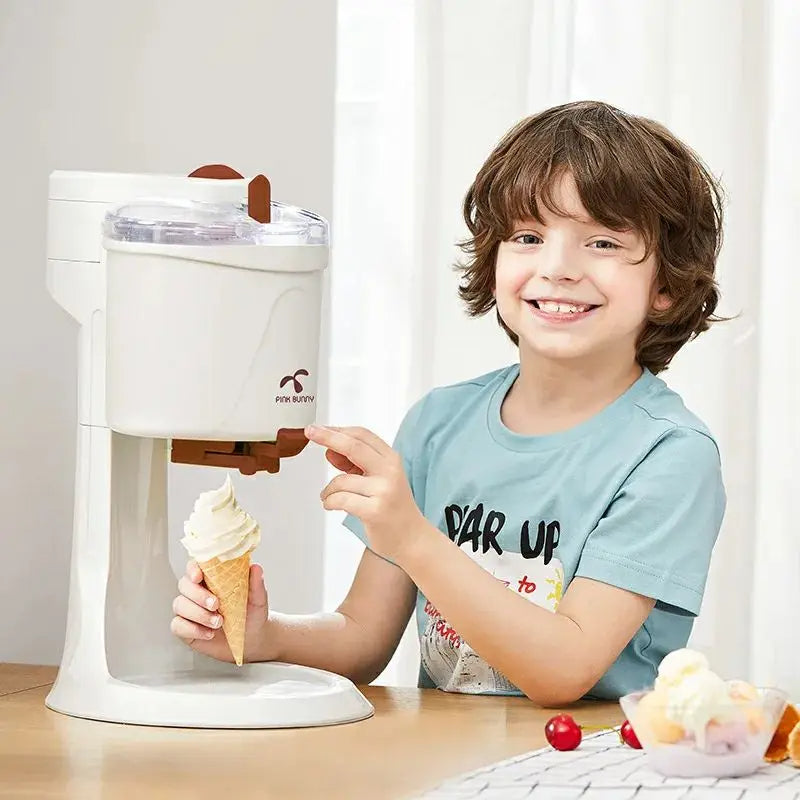 DIY Ice Cream Maker