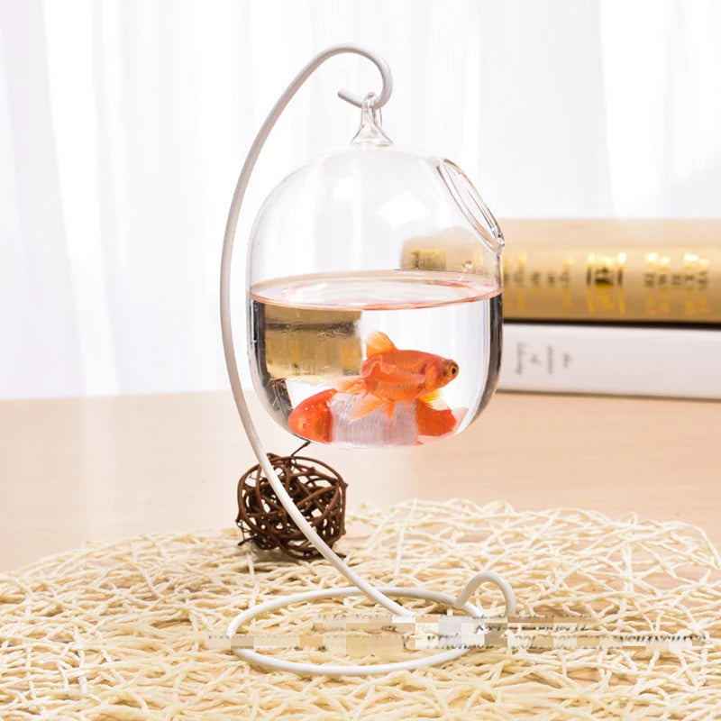 Ecosphere Goldfish Globe