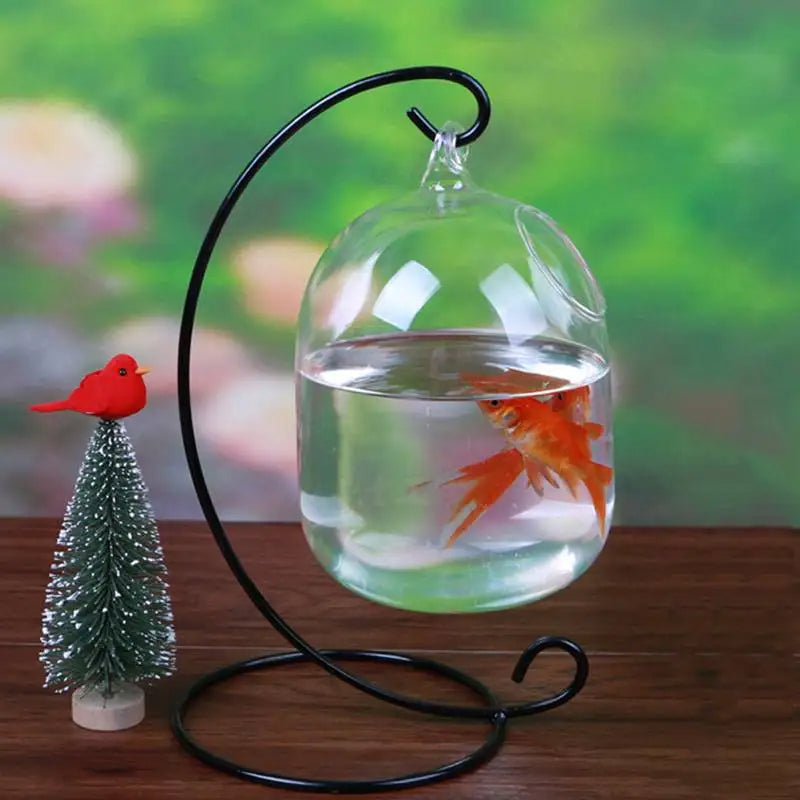 Ecosphere Goldfish Globe