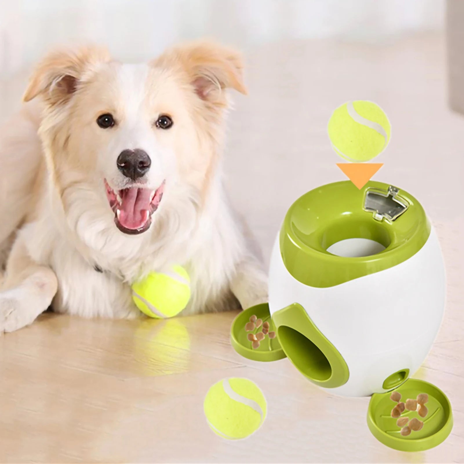 2-in-1 Interactive Dog Feeder & Puzzle Toy