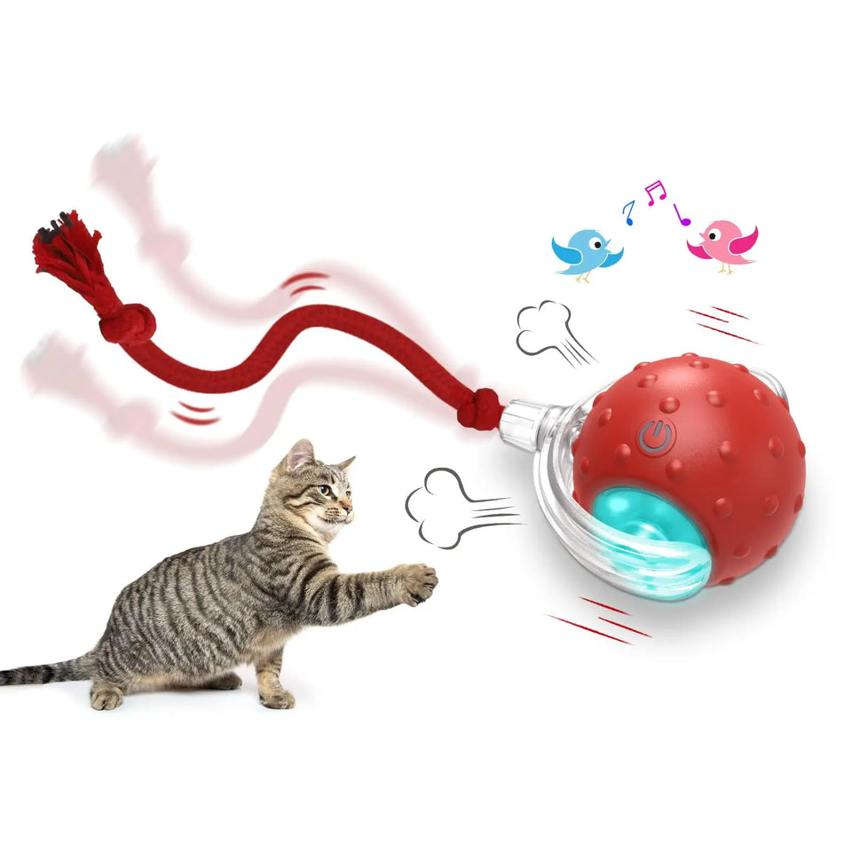 Interactive Cat Toy Ball with Chirping Sounds