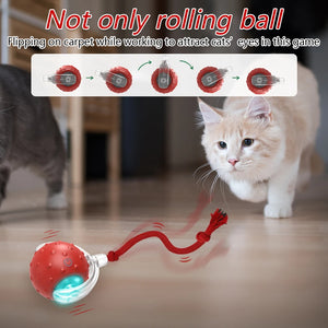 Interactive Cat Toy Ball with Chirping Sounds