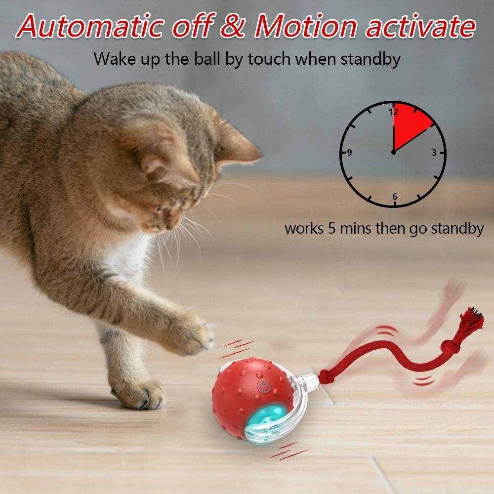 Interactive Cat Toy Ball with Chirping Sounds