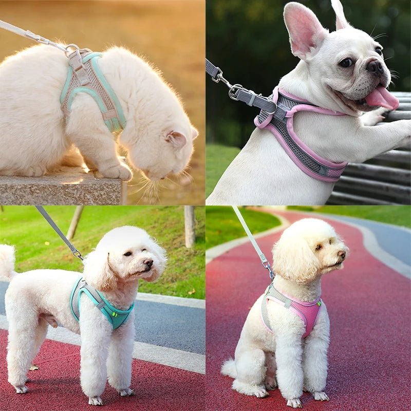 Adjustable Cat Harness & Leash Set for Small Pets