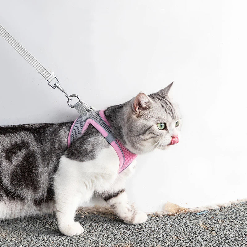 Adjustable Cat Harness & Leash Set for Small Pets