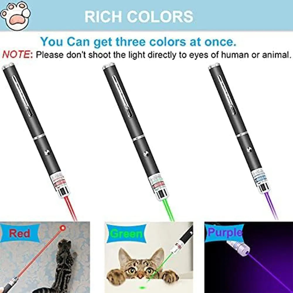 2-in-1 Cat Laser Pointer & Flashlight Keychain