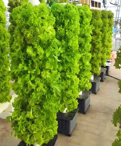 15-Layer Vertical Hydroponic Tower Planter