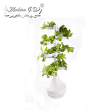 Hydroponic Vegetable Growing System