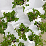 8-Layer Vertical Hydroponic Tower