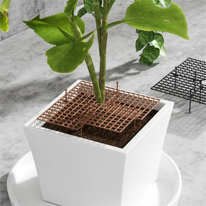 Plant Pot Soil Guard with Nails