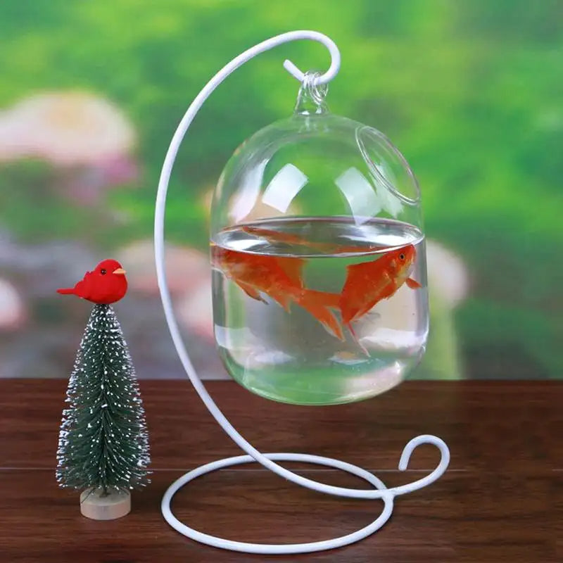 Ecosphere Goldfish Globe