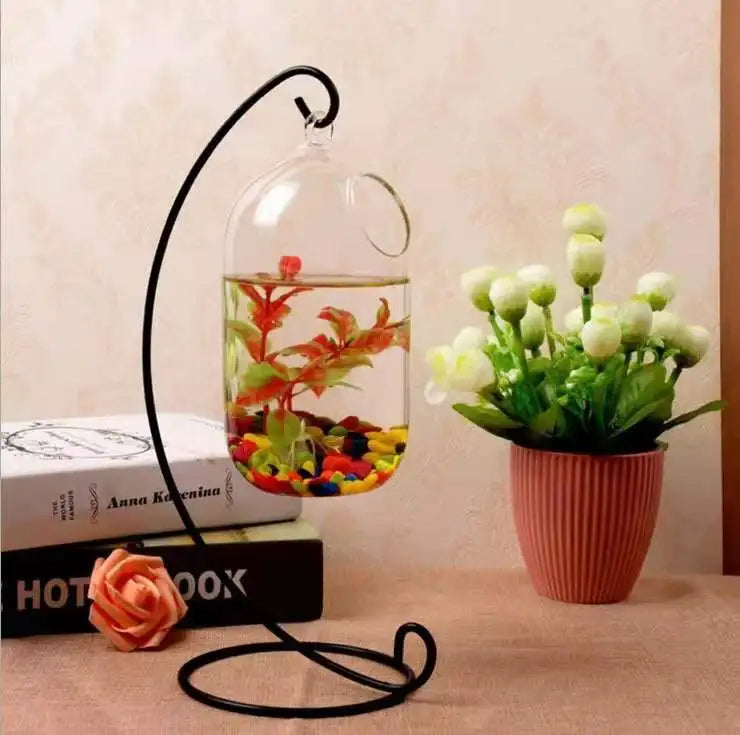 Ecosphere Goldfish Globe