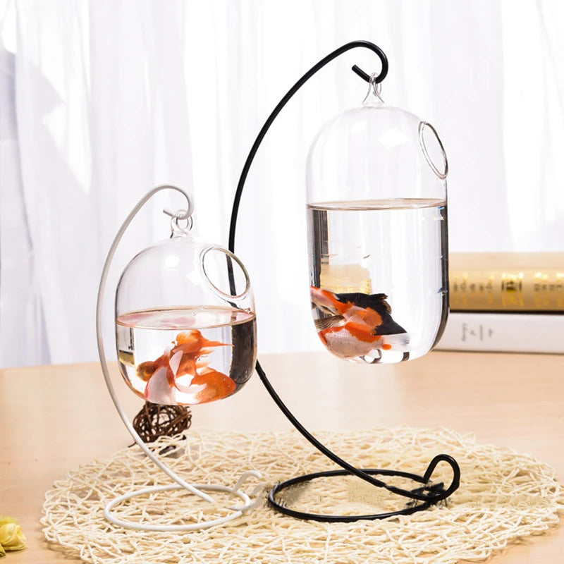 Ecosphere Goldfish Globe