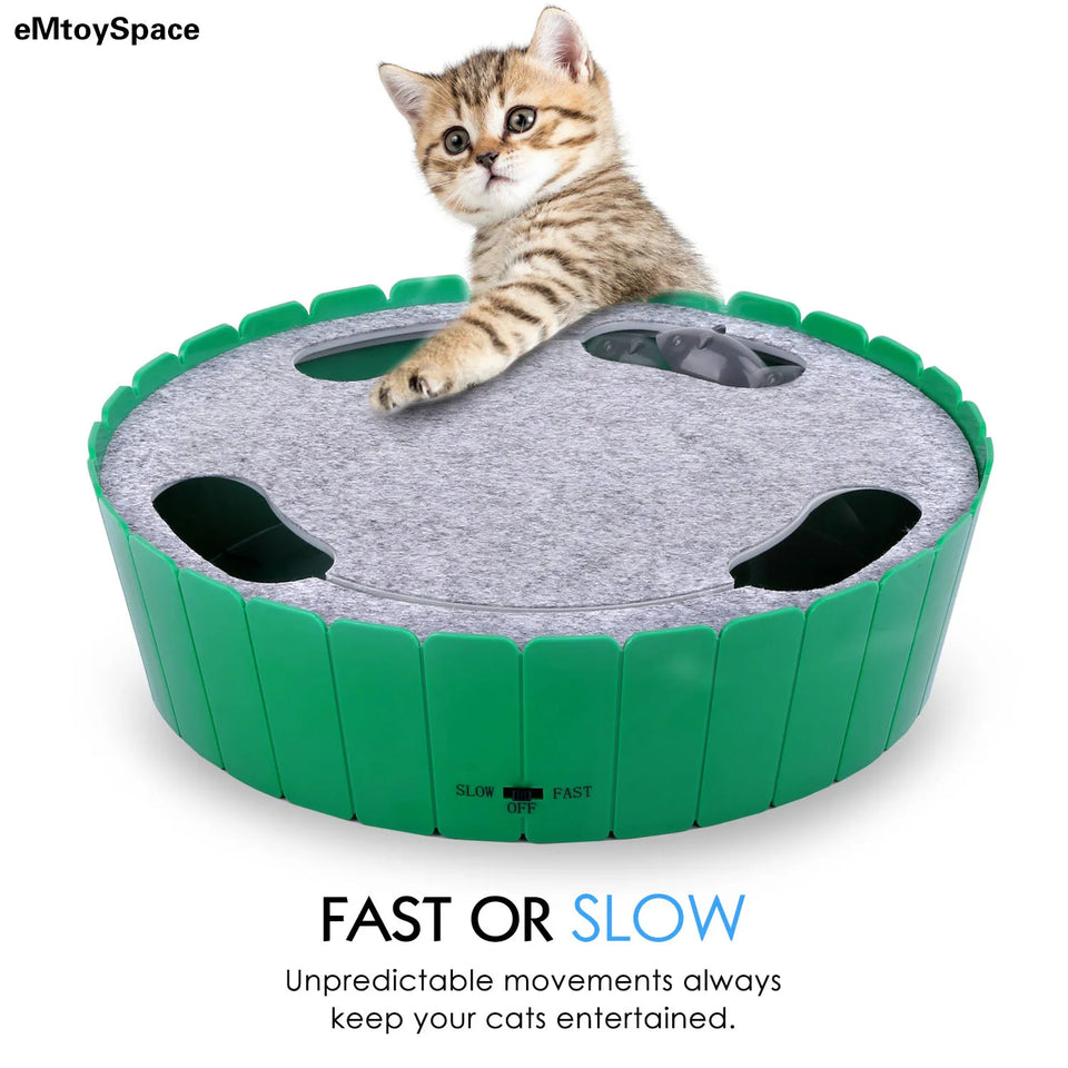 eMtoySpace Interactive Electronic Mouse Cat Toy