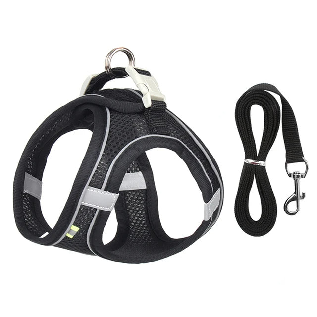 Adjustable Cat Harness & Leash Set for Small Pets