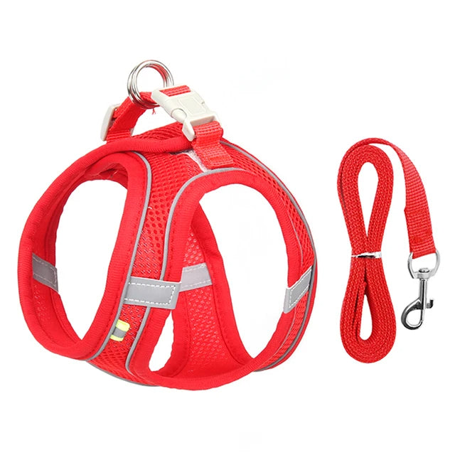 Adjustable Cat Harness & Leash Set for Small Pets