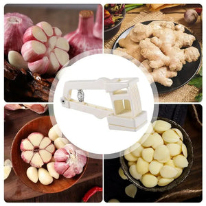 Garlic Press Slicer & Grinder