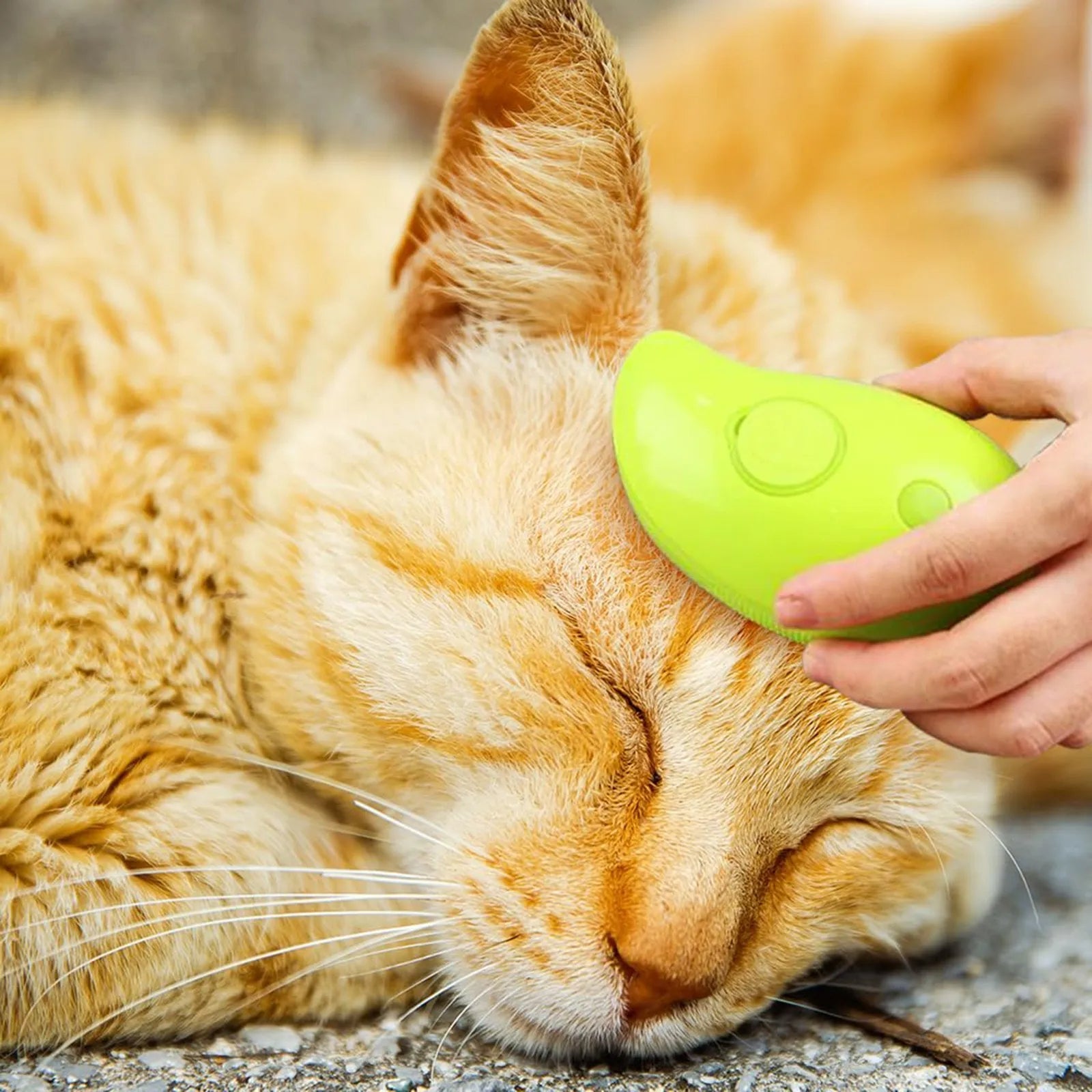 PurrfectSteam™ Cat Grooming Brush