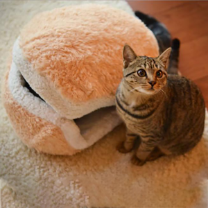 Plush Hamburger Cat Bed