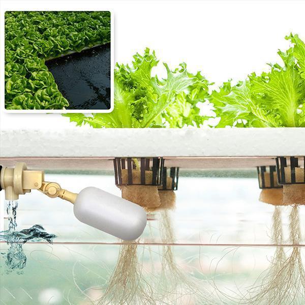 Hydroponic Float Valve