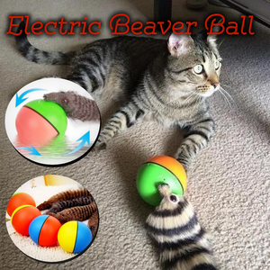 Electric Beaver Ball