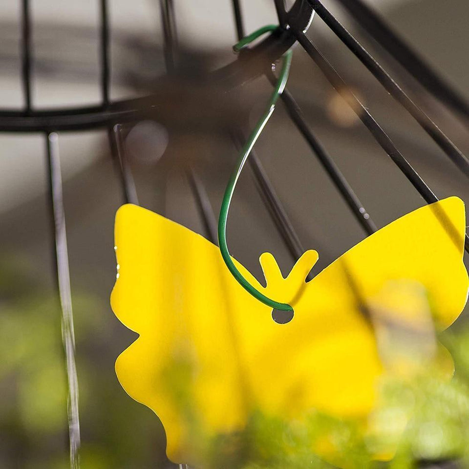 Insect Yellow Sticky Bug Traps For Outdoors