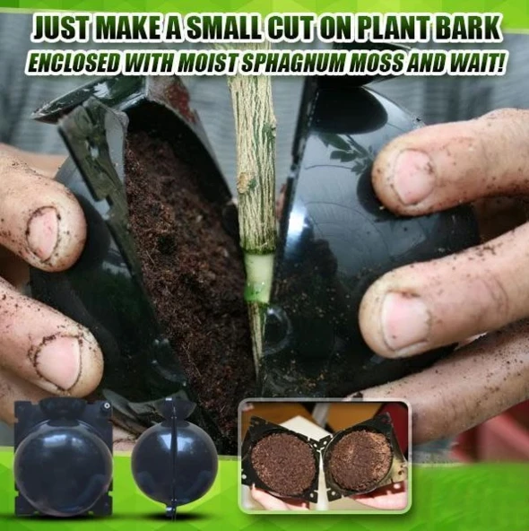 Plant root growth box