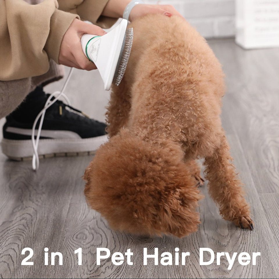 2 in 1 Pet Hair Dryer