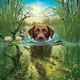 Pet Series Puzzle--Labrador 1000 Pieces（ All Items Shipped Within 1 Day）