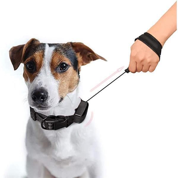 2 in 1 Dog Leash Collar