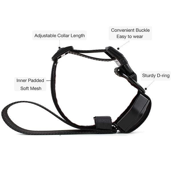 2 in 1 Dog Leash Collar