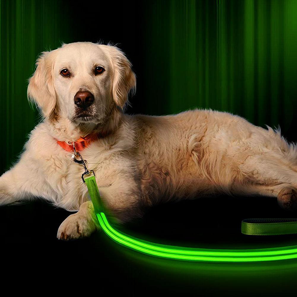 MuttGuard™ Visibility Leash