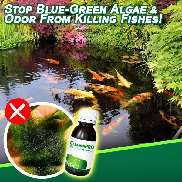 [PROMO 30% OFF] Pond Cleaner Algae Agent