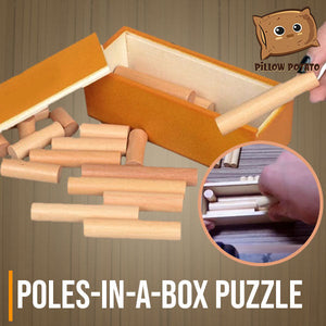 Poles Challenge Puzzle