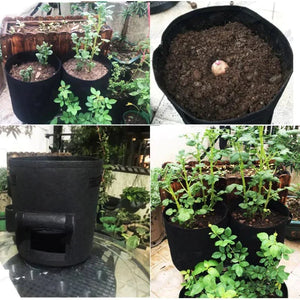 Greenhouse Vegetable Plant Grow Bags